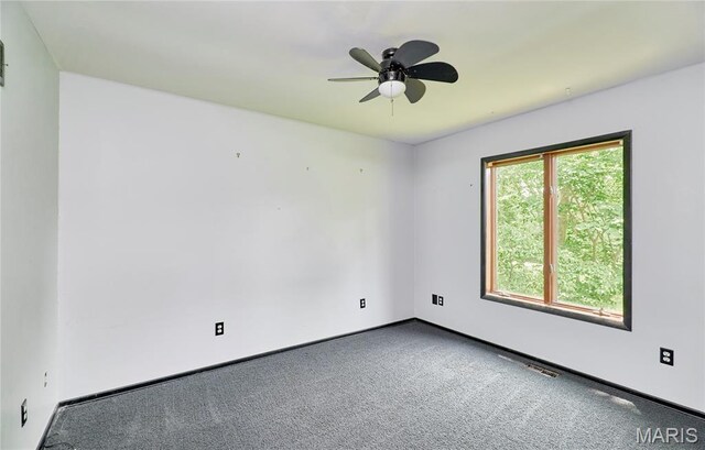 167 Spring Church Rd, Troy, MO 63379 - photo 38