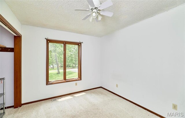 167 Spring Church Rd, Troy, MO 63379 - photo 43