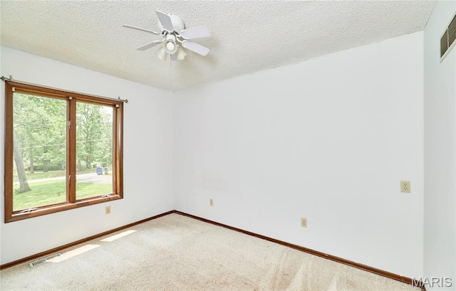 167 Spring Church Rd, Troy, MO 63379 - photo 44