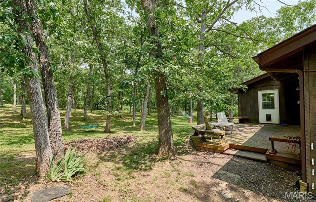 167 Spring Church Rd, Troy, MO 63379 - photo 58
