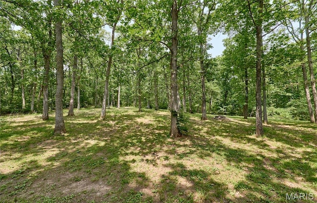 167 Spring Church Rd, Troy, MO 63379 - photo 62