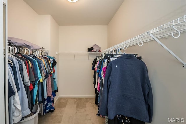 1510 Kennabrooke Ct, Saint Louis, MO 63146 - walk in closet with carpet floors