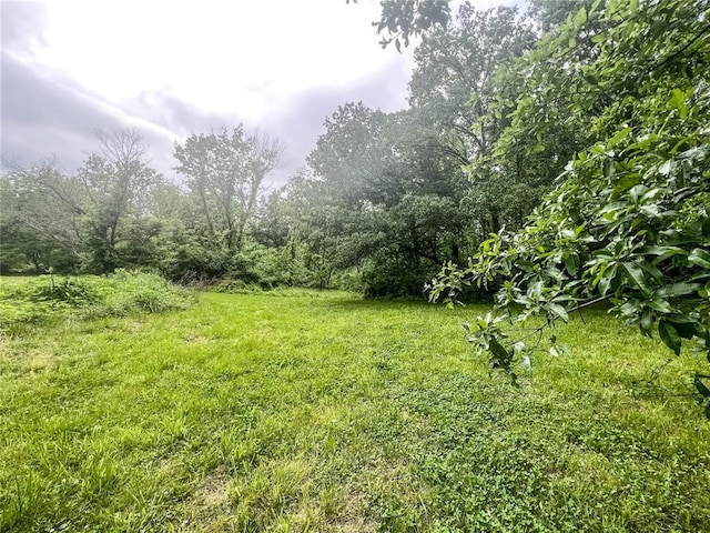 408 E Monroe St, Paris, MO 65275 - view of yard