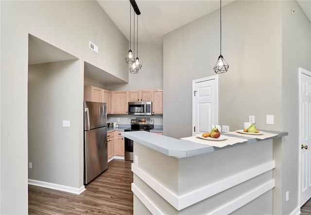 630 Homerun Dr Unit 12N, Ofallon, MO 63366 - kitchen with appliances with stainless steel finishes, light brown cabinetry, dark wood finished floors, a towering ceiling, and a peninsula