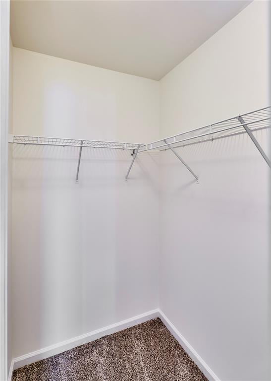 630 Homerun Dr Unit 12N, Ofallon, MO 63366 - walk in closet featuring carpet flooring