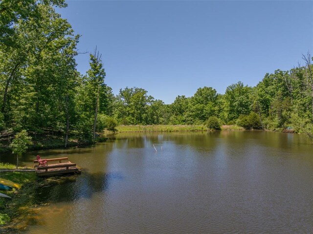 2349 Trautwein Dr, Innsbrook, MO 63390 - water view featuring a heavily wooded area and a boat dock