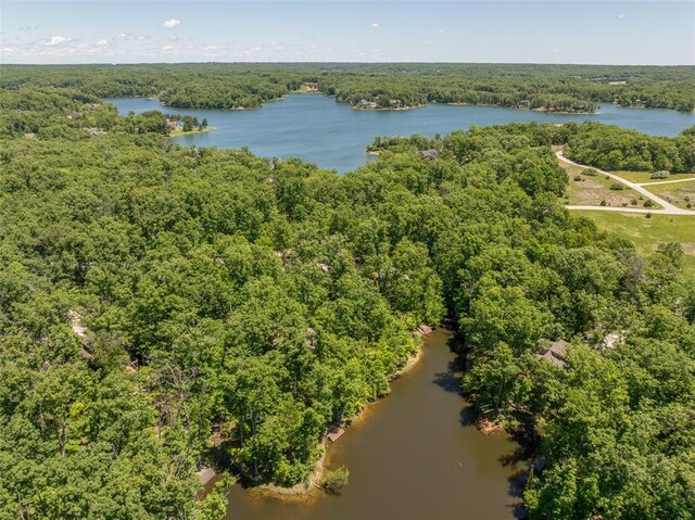 2349 Trautwein Dr, Innsbrook, MO 63390 - drone / aerial view of a forest and a nearby body of water