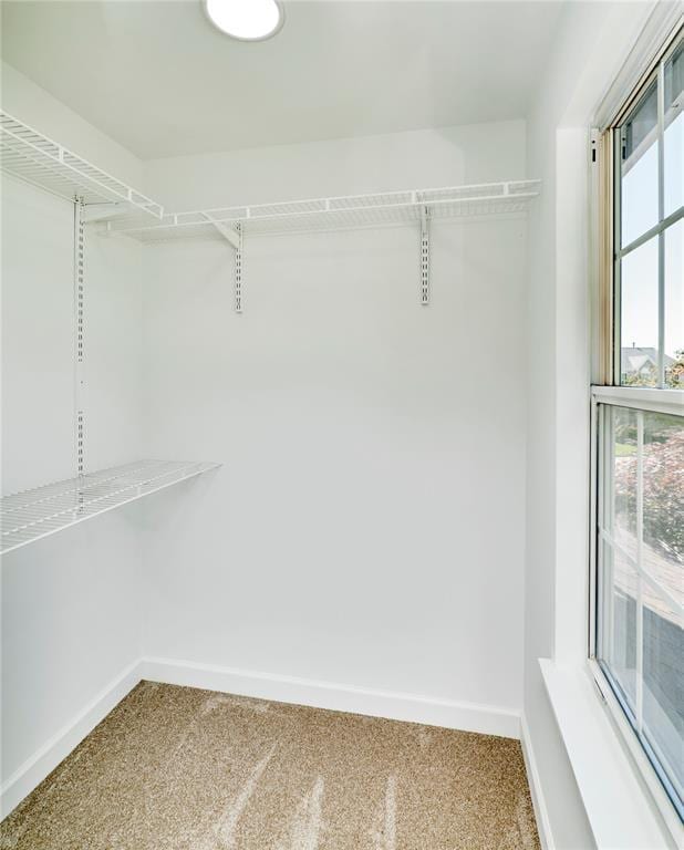 7219 Watsons Parish Dr, Ofallon, MO 63368 - spacious closet with carpet floors