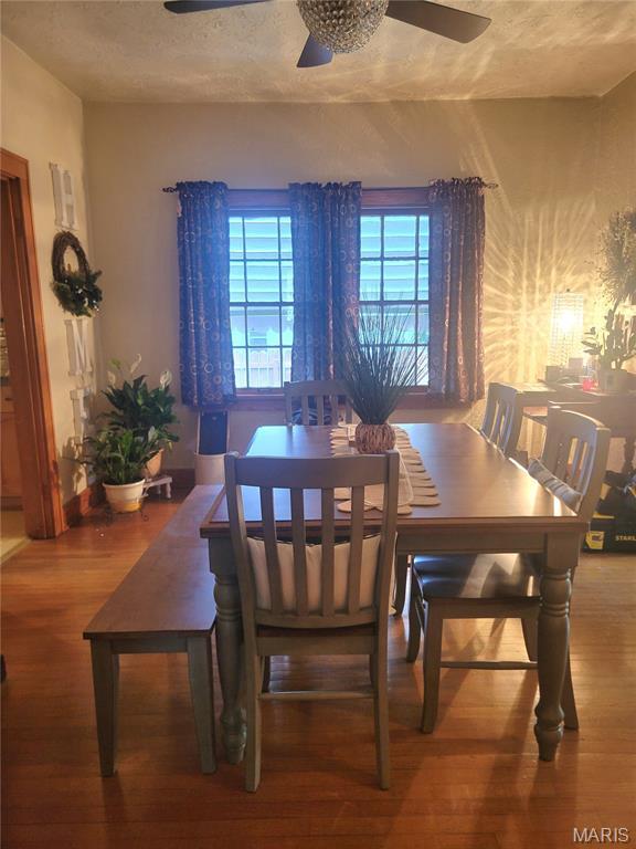 323 W Ross St, Palmyra, MO 63461 - photo 14
