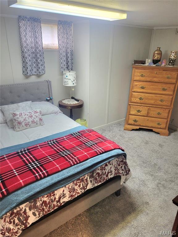 323 W Ross St, Palmyra, MO 63461 - photo 28