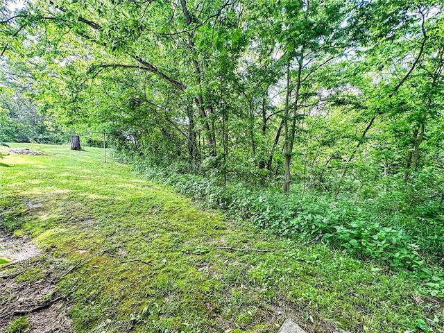 138 Main St, Panama, IL 62077 - photo 15