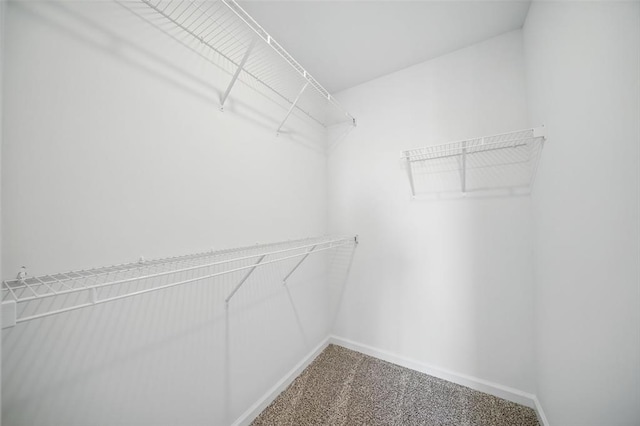 917 Gimli Ln, Wright City, MO 63390 - walk in closet with carpet floors