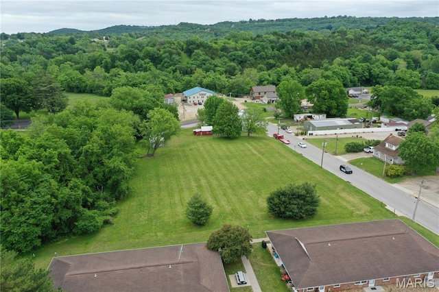 405 W 18th St, Hermann, MO 65041 - drone / aerial view of a forest