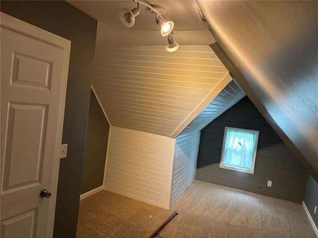 603 Capps Ave, Nokomis, IL 62075 - additional living space featuring wood walls, lofted ceiling, carpet floors, and baseboards