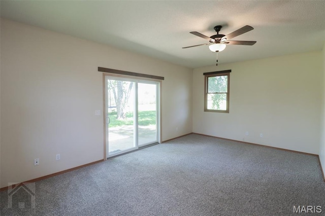 20255 Steer Rd, Waynesville, MO 65583 - photo 34