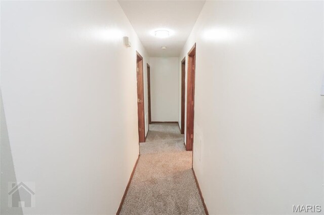 20255 Steer Rd, Waynesville, MO 65583 - photo 46