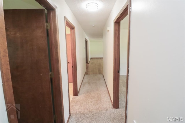 20255 Steer Rd, Waynesville, MO 65583 - photo 47