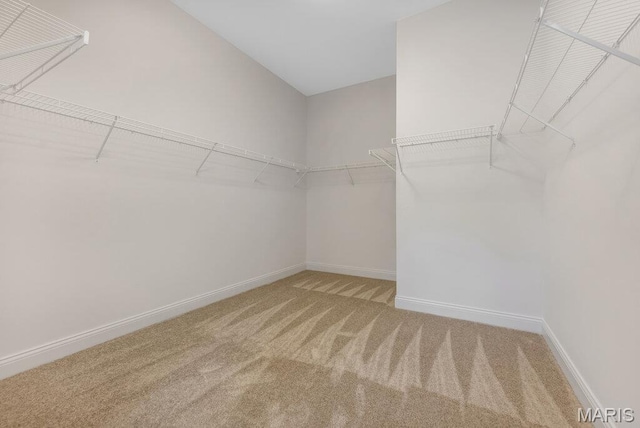 310 Red Wing Ct, Troy, MO 63379 - photo 55