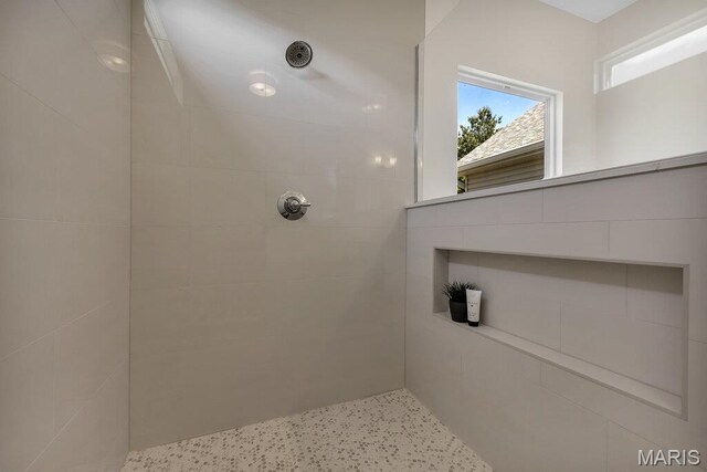 310 Red Wing Ct, Troy, MO 63379 - photo 62