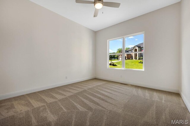 310 Red Wing Ct, Troy, MO 63379 - photo 64