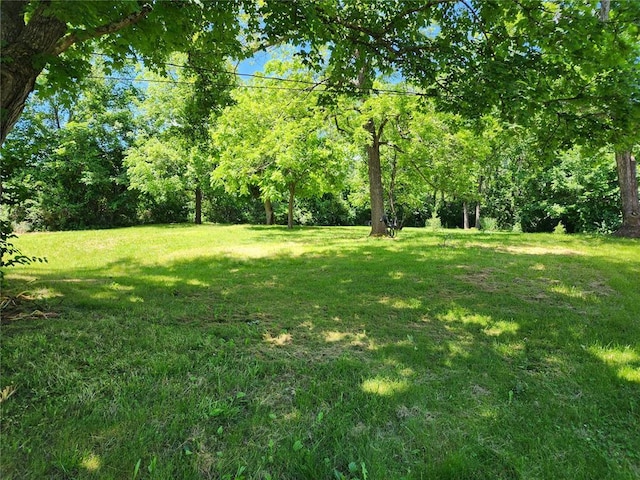 10809 Wayne Route Ff, Patterson, MO 63956 - view of green lawn