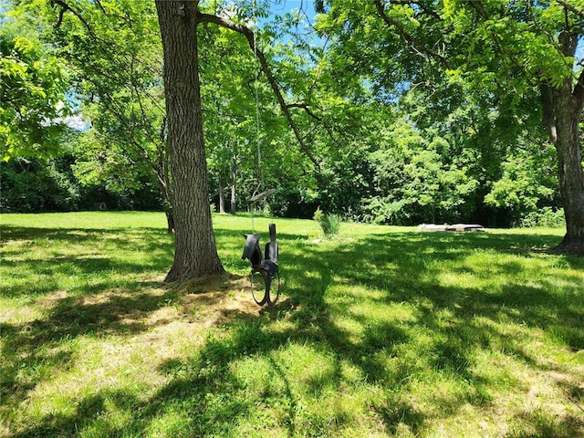 10809 Wayne Route Ff, Patterson, MO 63956 - view of green lawn