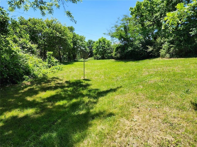 10809 Wayne Route Ff, Patterson, MO 63956 - view of grassy yard