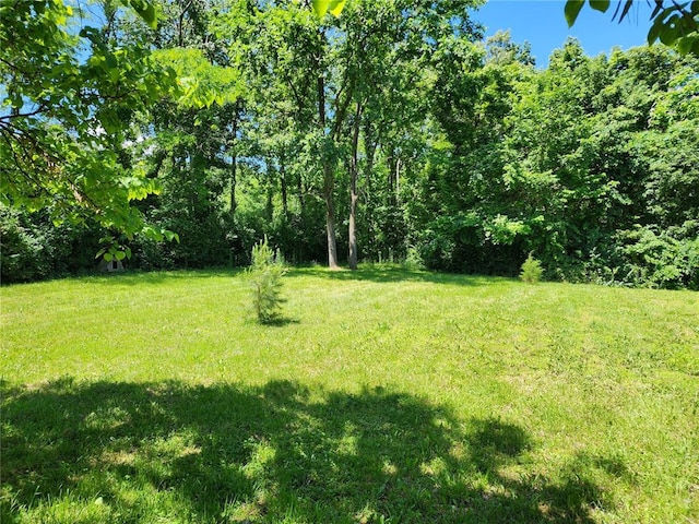 10809 Wayne Route Ff, Patterson, MO 63956 - view of green lawn