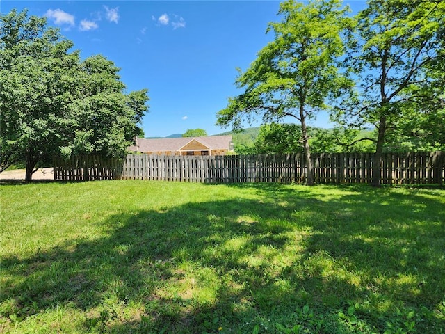 10809 Wayne Route Ff, Patterson, MO 63956 - view of yard