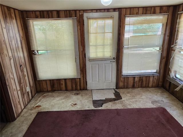 10809 Wayne Route Ff, Patterson, MO 63956 - doorway to outside with wooden walls, healthy amount of natural light, and carpet flooring
