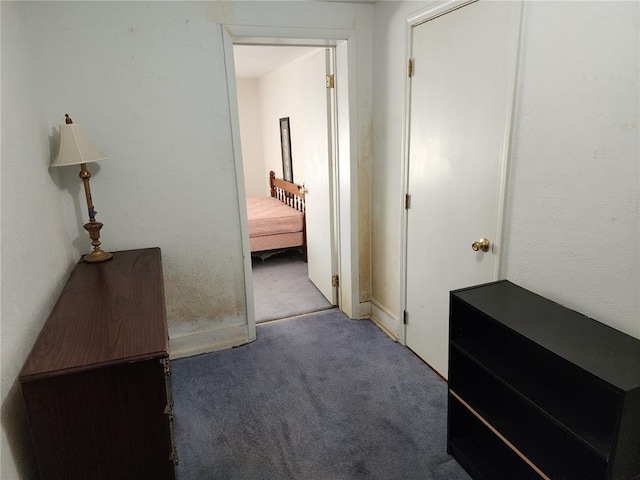 10809 Wayne Route Ff, Patterson, MO 63956 - corridor featuring carpet