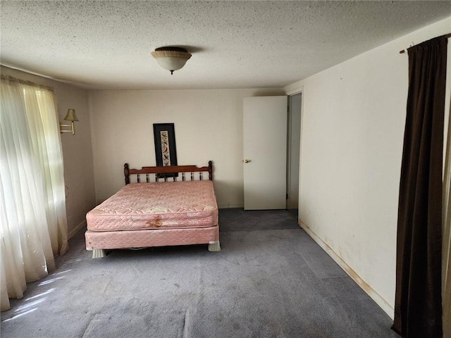 10809 Wayne Route Ff, Patterson, MO 63956 - bedroom featuring carpet and a textured ceiling