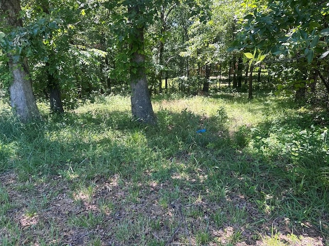 16439 State Highway Af, Dexter, MO 63841 - view of local wilderness