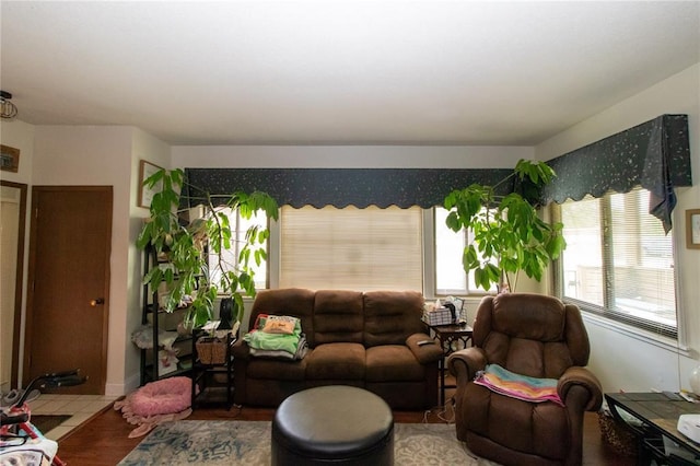 1001 Hemingway Ln Unit H, Weldon Spring, MO 63304 - living room featuring wood finished floors