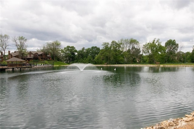 1001 Hemingway Ln Unit H, Weldon Spring, MO 63304 - water view