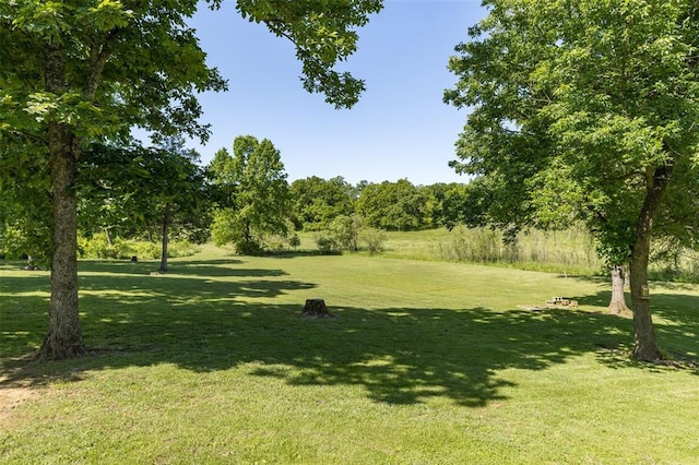 1308 Maggie Cir, Bonne Terre, MO 63628 - view of grassy yard