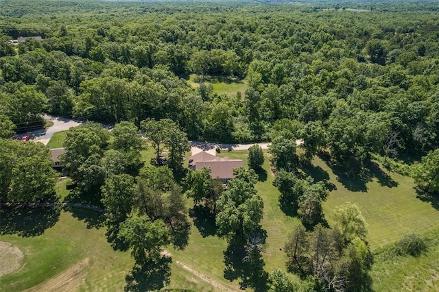 1308 Maggie Cir, Bonne Terre, MO 63628 - aerial view of property's location with a forest