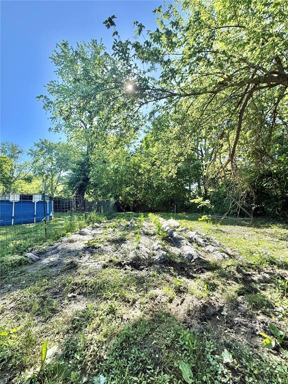 723 Ada St, Bismarck, MO 63624 - view of yard