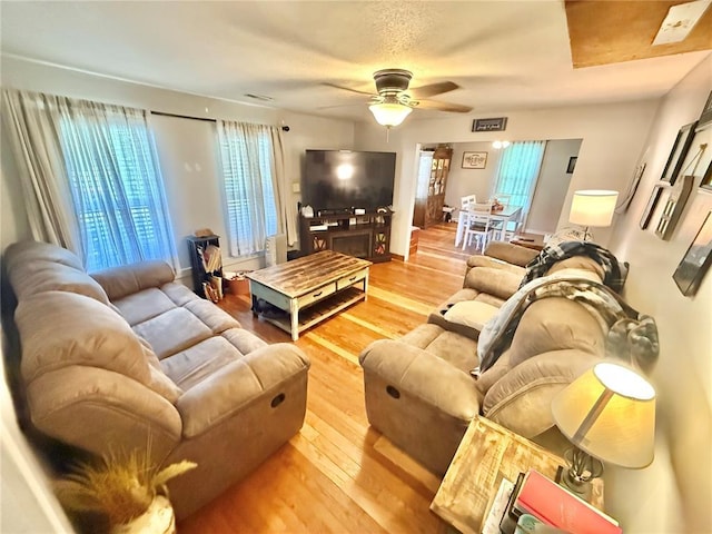 723 Ada St, Bismarck, MO 63624 - living area with hardwood / wood-style floors, plenty of natural light, and a ceiling fan