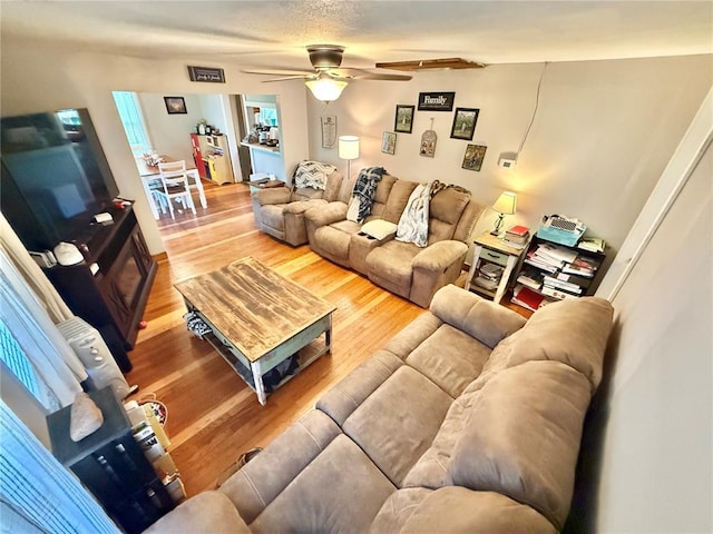 723 Ada St, Bismarck, MO 63624 - living room with a ceiling fan and wood finished floors