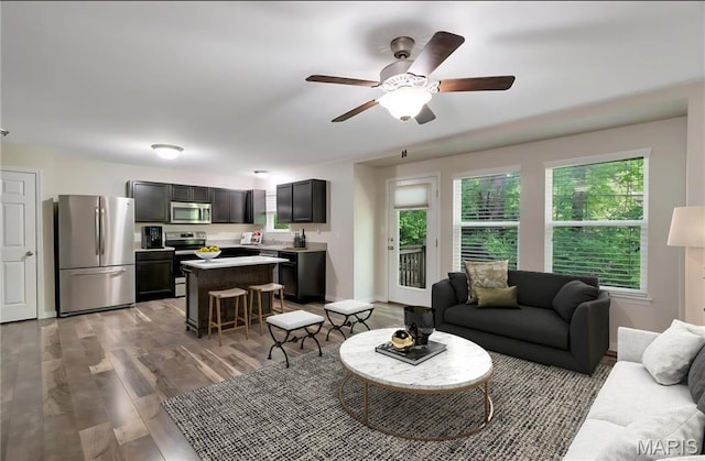 32 Loris Ln, Saint Charles, MO 63303 - living area with plenty of natural light, wood finished floors, and a ceiling fan