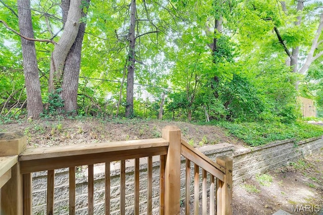 32 Loris Ln, Saint Charles, MO 63303 - photo 25