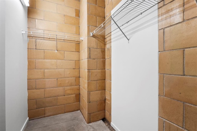 1720 Chouteau Ave Unit 303, Saint Louis, MO 63103 - view of walk in closet
