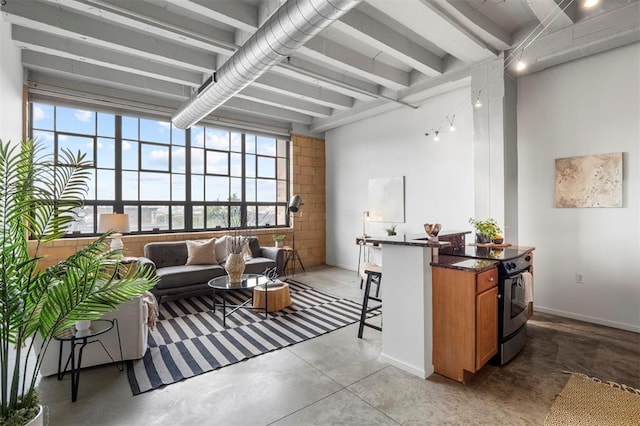 1720 Chouteau Ave Unit 303, Saint Louis, MO 63103 - living room featuring finished concrete floors and beam ceiling