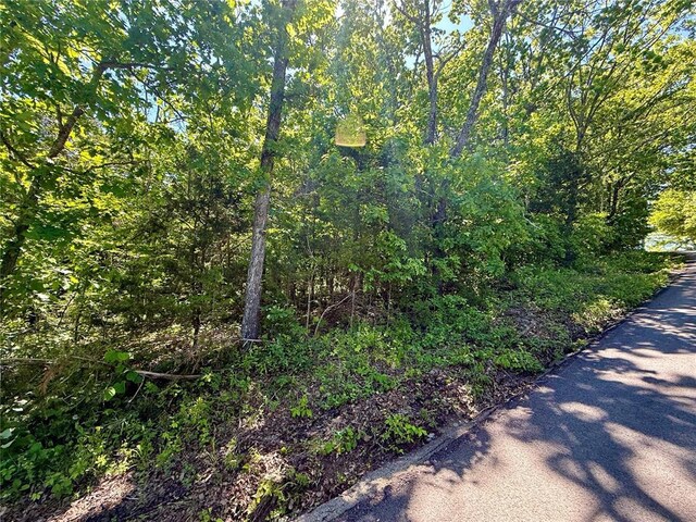 0 Cyclone Rd, Cadet, MO 63630