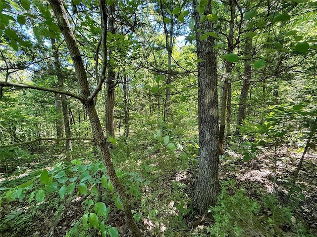 0 Cyclone Rd, Cadet, MO 63630