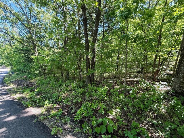 0 Cyclone Rd, Cadet, MO 63630