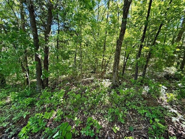 0 Cyclone Rd, Cadet, MO 63630