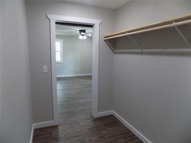 633 E Eldon St, St James, MO 65559 - walk in closet with a ceiling fan and dark wood finished floors