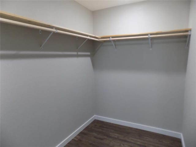 633 E Eldon St, St James, MO 65559 - walk in closet with dark wood finished floors